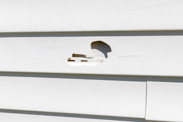 Best Property Management Cleanouts  in Chenango Bridge, NY